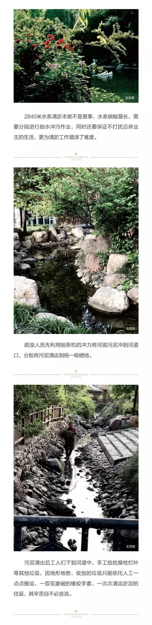 1547780403107445.jpg 640.webp (8).jpg