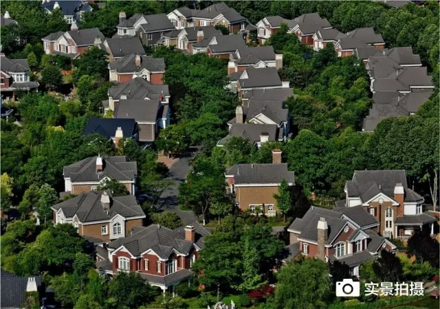 1547780600706377.jpg 640.webp (11).jpg