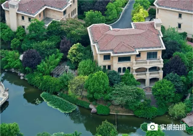 1547780605946823.jpg 640.webp (12).jpg