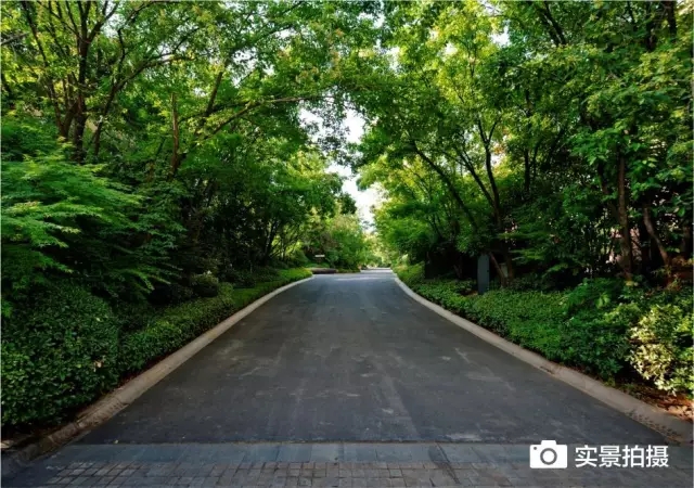 1547781011101699.jpg 640.webp (24).jpg