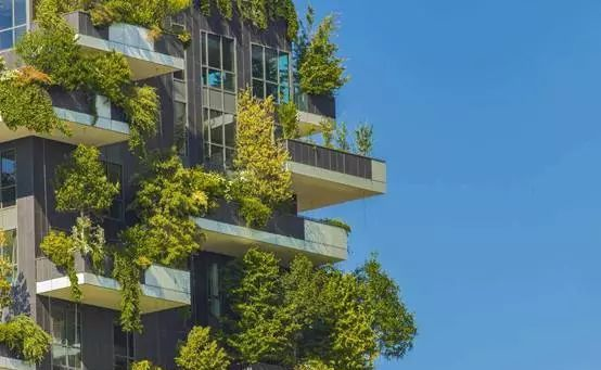 1548294741359607.png 7.png