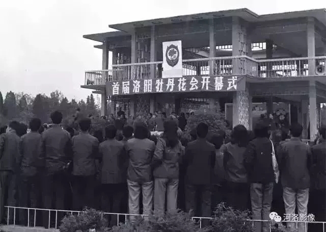 1548313449120937.jpg 640.webp (13).jpg