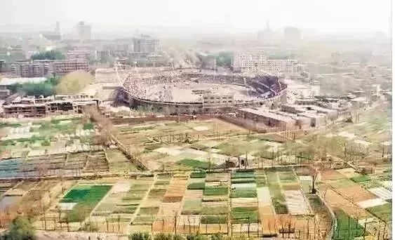 1548313482652531.jpg 640.webp (15).jpg