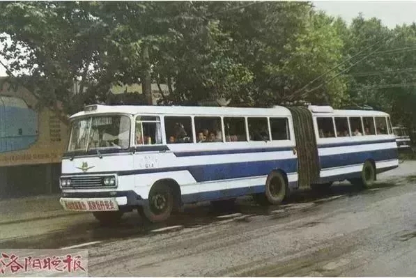 1548313490442650.jpg 640.webp (16).jpg