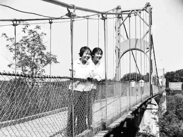 1548313513160167.jpg 640.webp (18).jpg