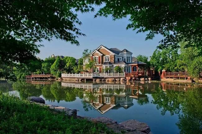 1548313787887362.jpg 640.webp (31).jpg