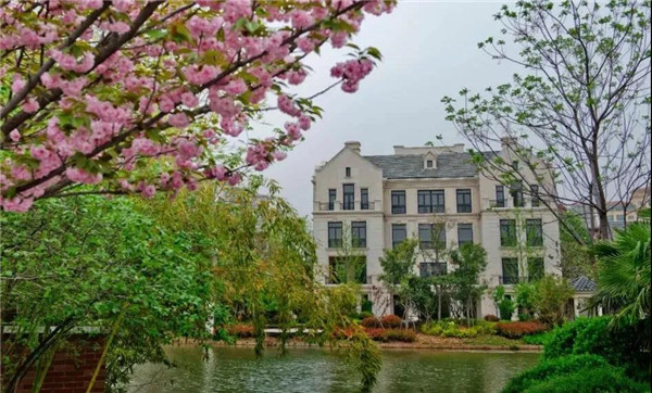 1585876708109814.jpg 洛陽最美的春天竟藏在這里3.jpg